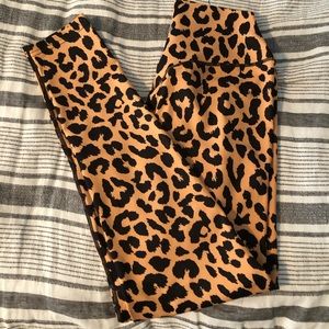 Balance Athletica Kingdom 2.0 Collection